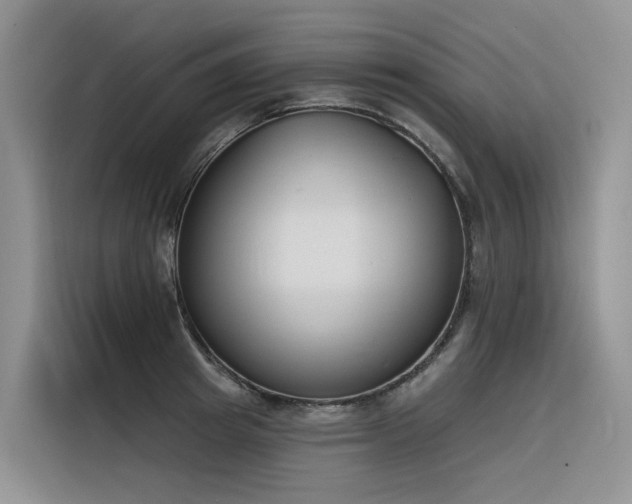 X0000116380849200912021518