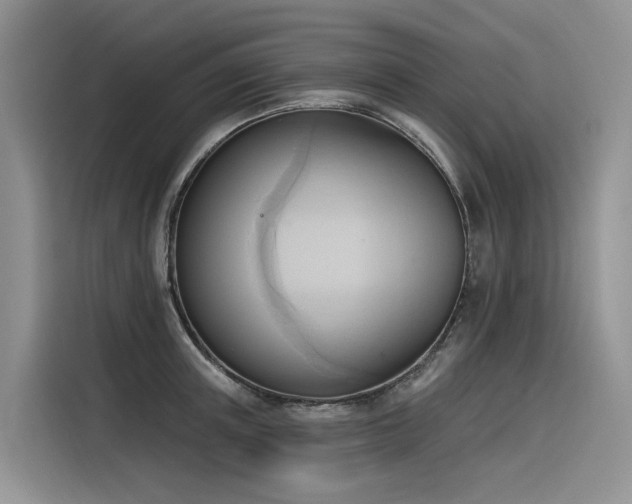 X0000116380851200912021518