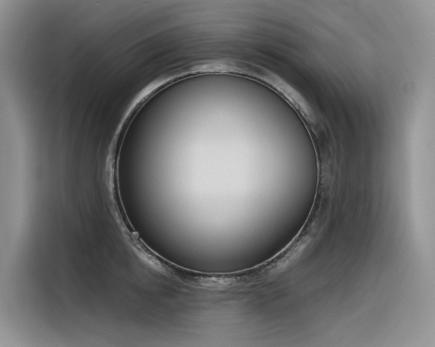 X0000116380854200912021518