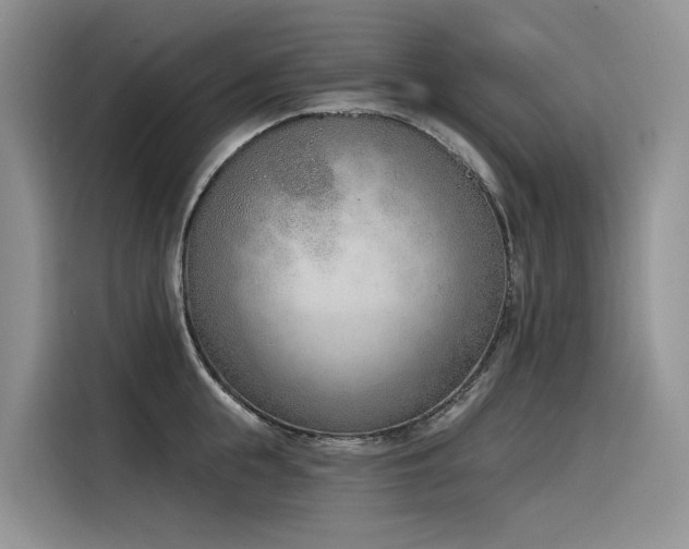 X0000116380855200912021518