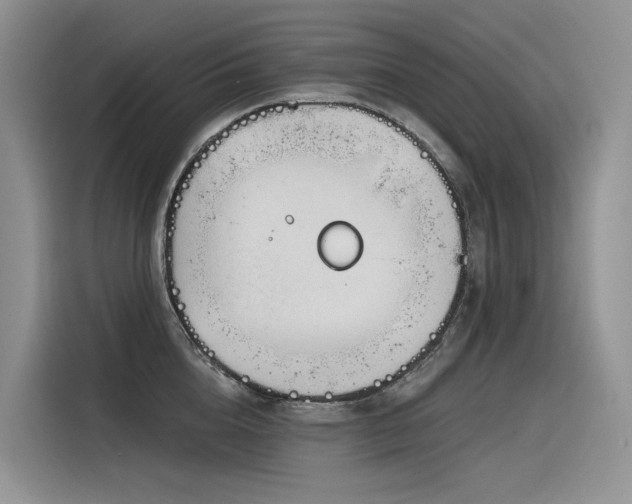 X0000116380856200912021518