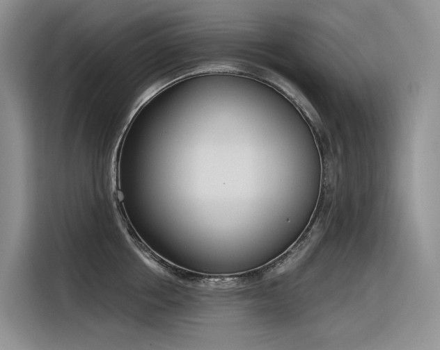 X0000116380858200912021518