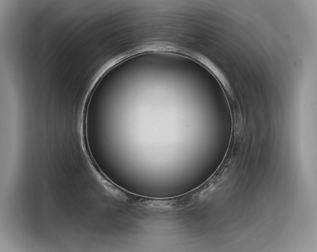 X0000116380861200912021518