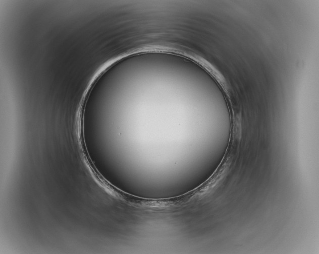 X0000116380862200912021518
