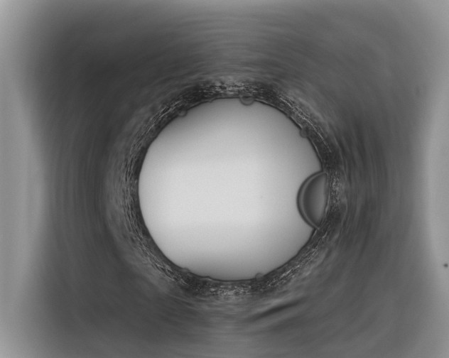 X0000116380865200912021518