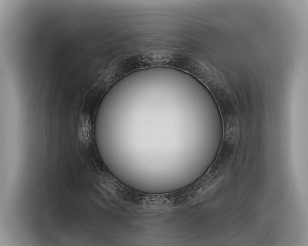 X0000116380866200912021518