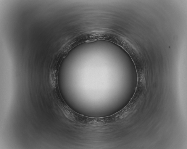 X0000116380868200912021517