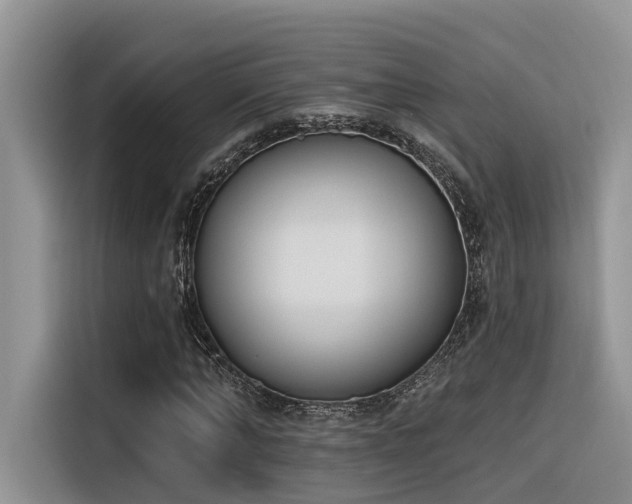 X0000116380870200912021517