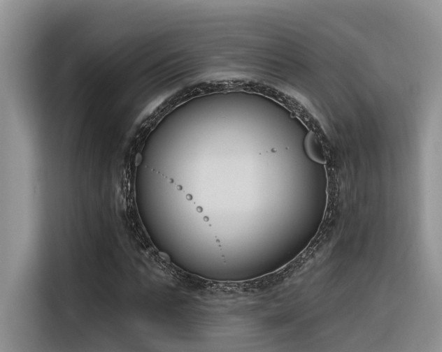 X0000116380871200912021517