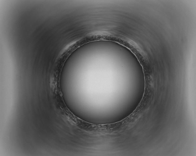 X0000116380872200912021517