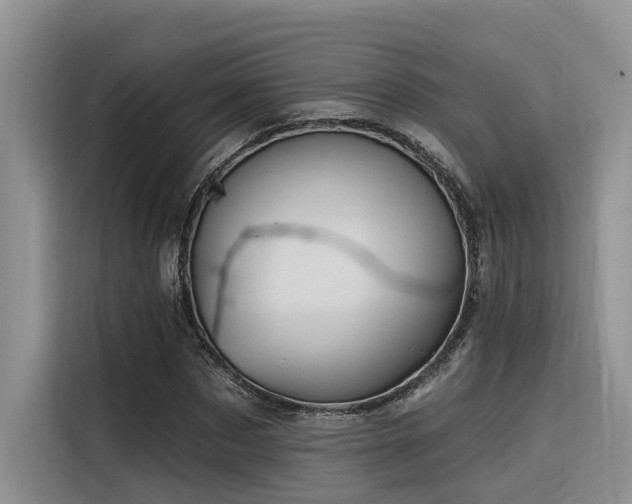 X0000116380873200912021517