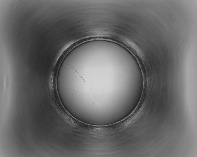 X0000116380875200912021517