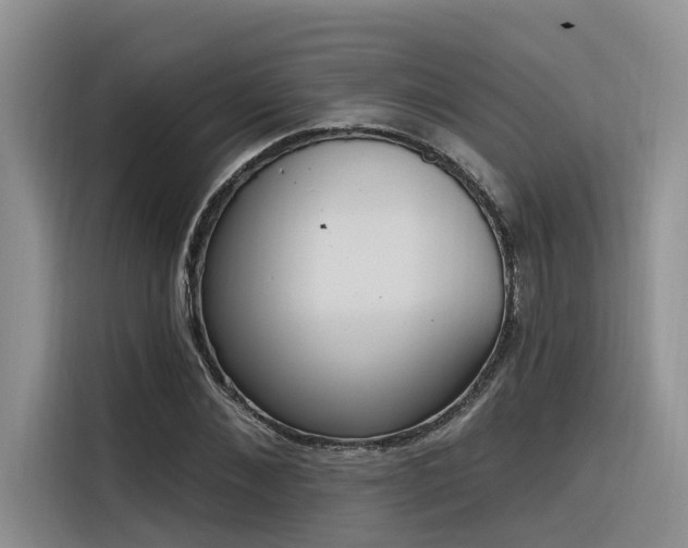 X0000116380876200912021517