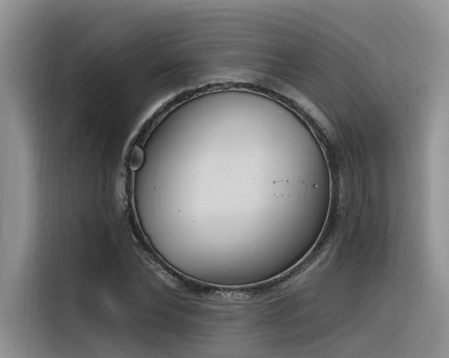 X0000116380878200912021517