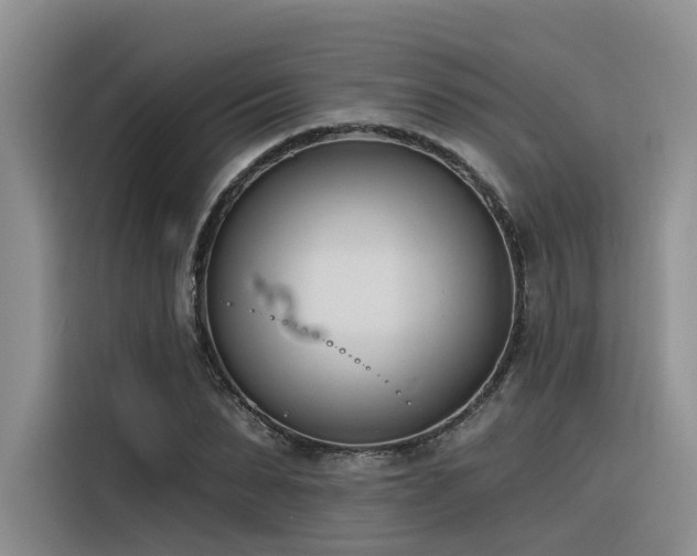 X0000116380879200912021517