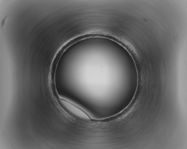 X0000116380880200912021517