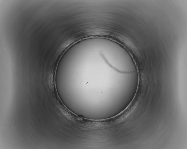 X0000116380881200912021517