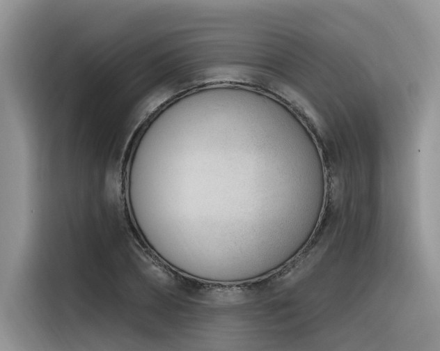 X0000116380882200912021517