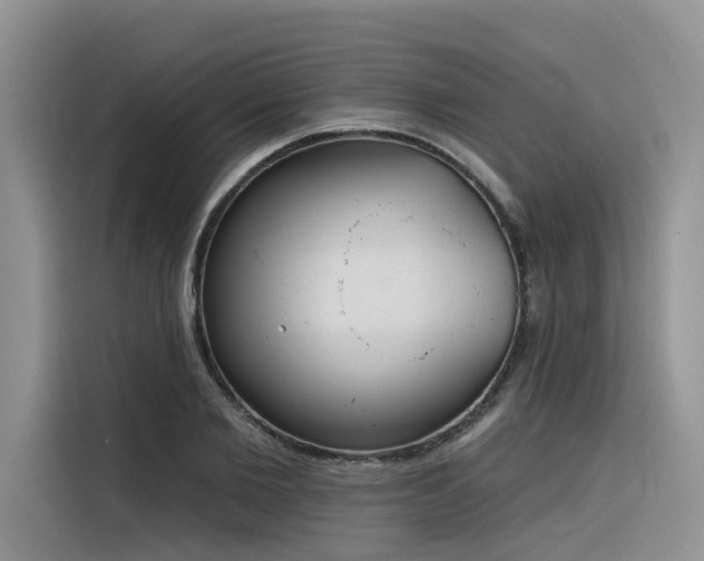X0000116380885200912021517