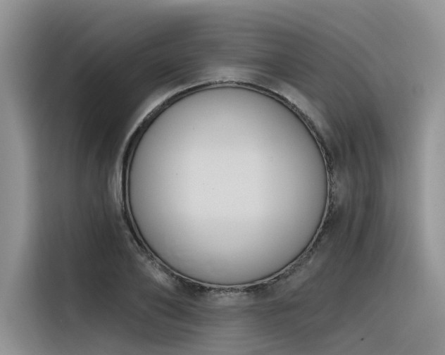 X0000116380886200912021517