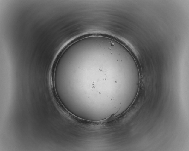 X0000116380887200912021517