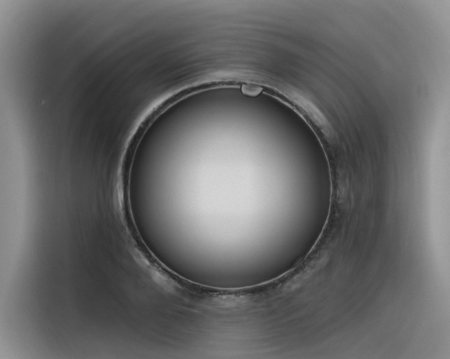 X0000116380888200912021517