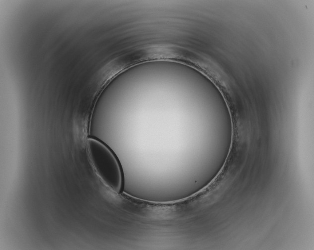 X0000116380889200912021517
