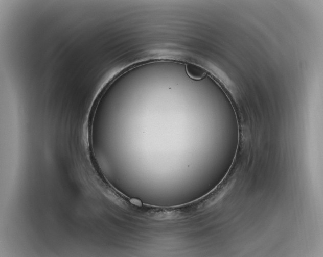 X0000116380891200912021517