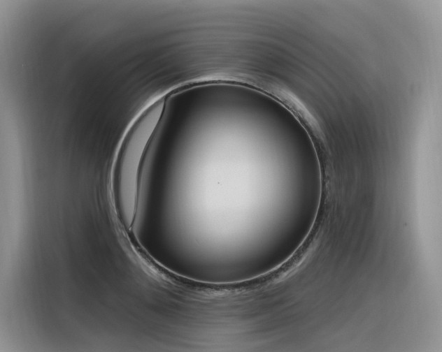 X0000116380892200912021517