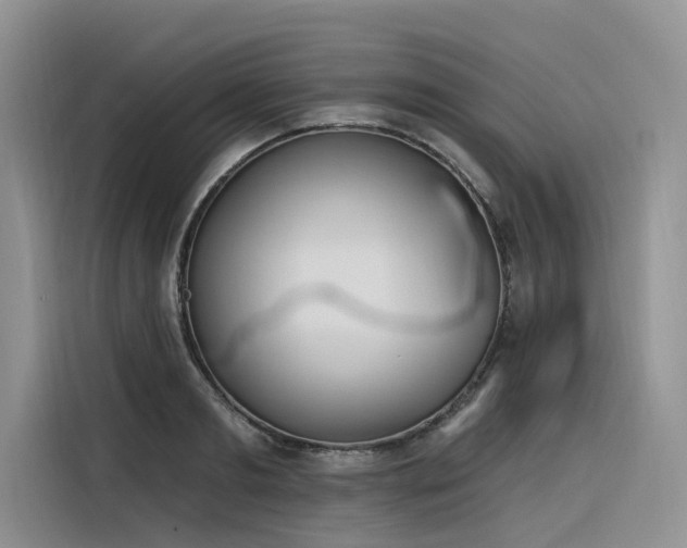 X0000116380893200912021517