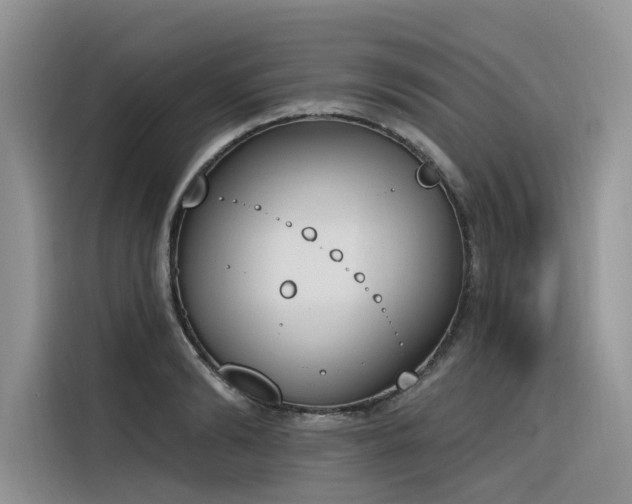X0000116380894200912021517