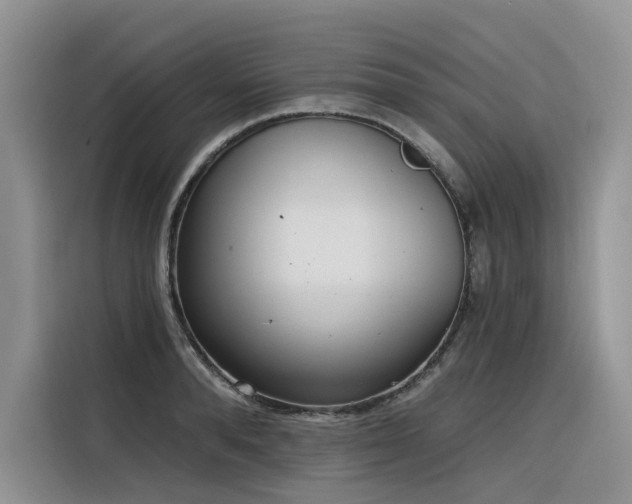 X0000116380896200912021517