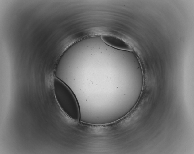 X0000116380897200912021517
