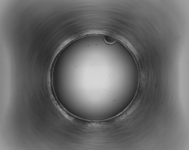X0000116380898200912021517