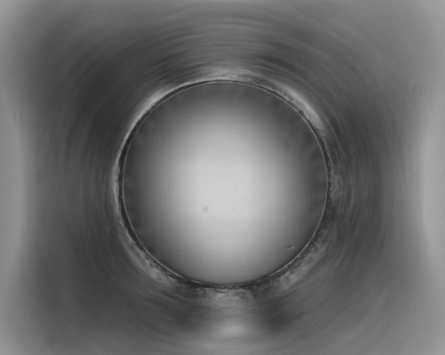 X0000116380899200912021517