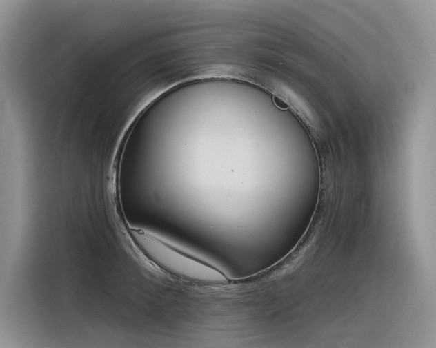 X0000116380900200912021517