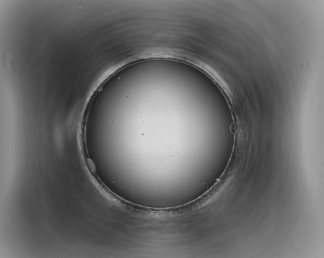 X0000116380901200912021517