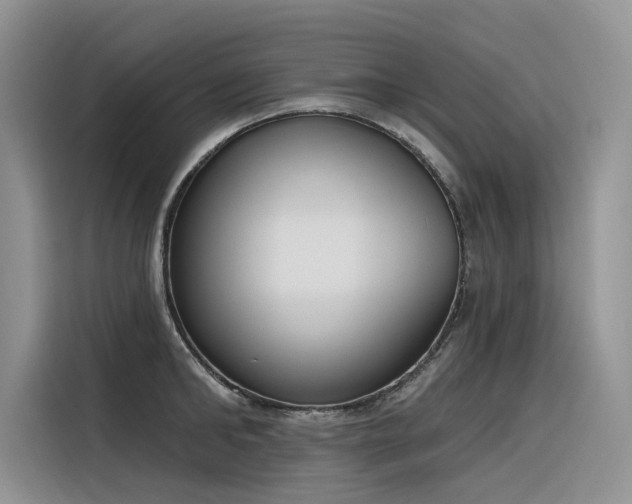 X0000116380902200912021517