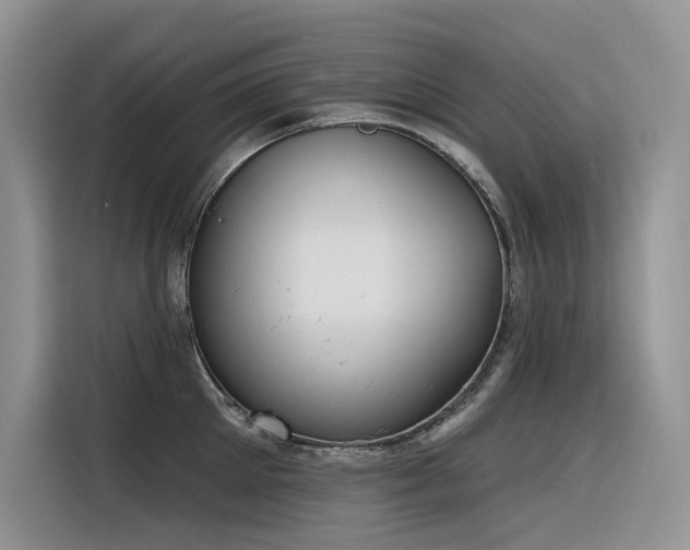 X0000116380905200912021517