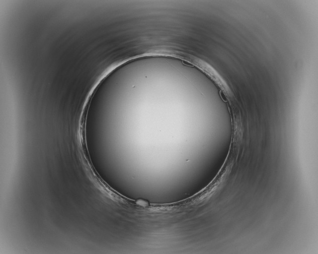 X0000116380908200912021517