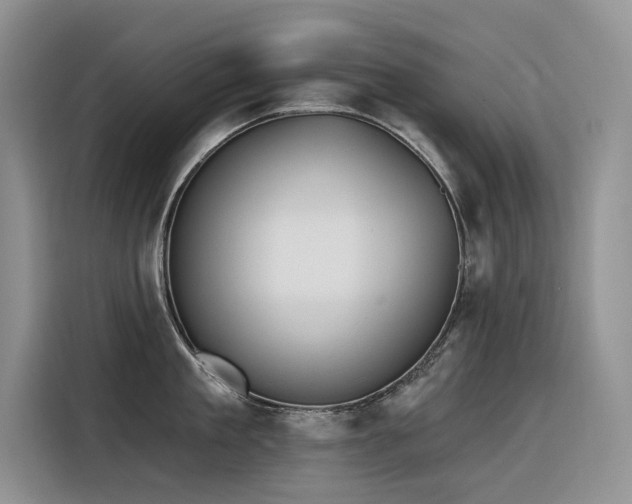 X0000116380909200912021517
