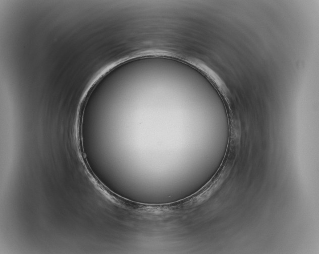 X0000116380910200912021517
