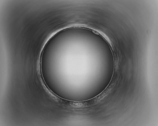 X0000116380911200912021517