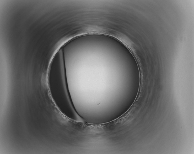 X0000116380912200912021517