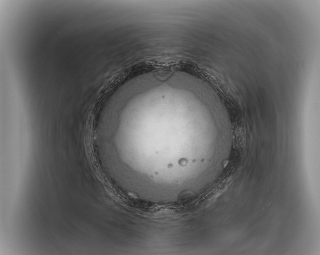 X0000116380913200912021516
