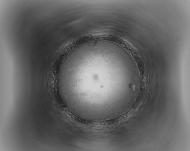 X0000116380917200912021516
