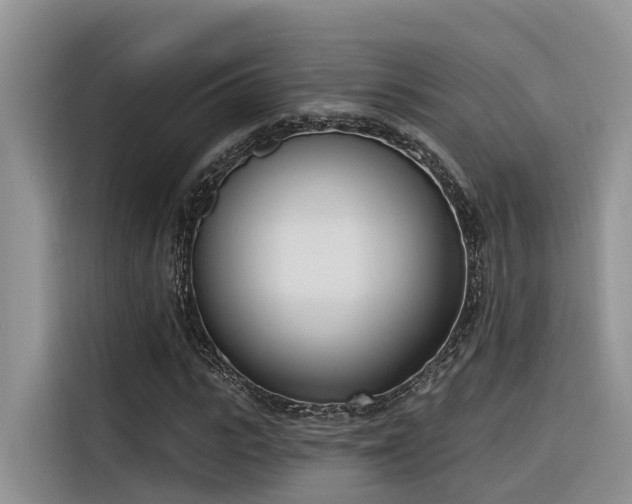 X0000116380919200912021516