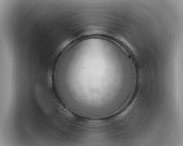 X0000116380921200912021516