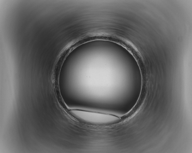 X0000116380922200912021516