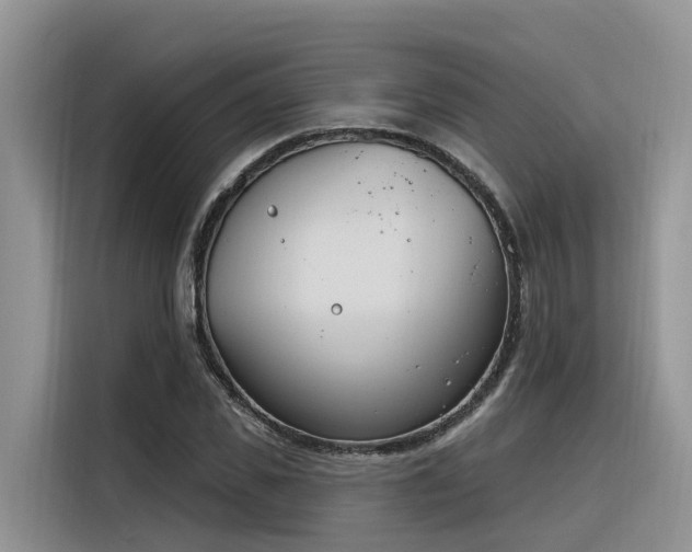 X0000116380925200912021516